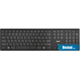   Acer OKR030