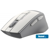 Мыши A4Tech Fstyler FG30S (серый/белый) Мыши A4Tech Fstyler FG30S (серый/белый)