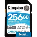   Kingston Canvas Go! Plus SDXC 256GB